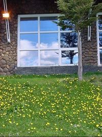 Ventanas Madrid Arian Ventanas Madrid Arian